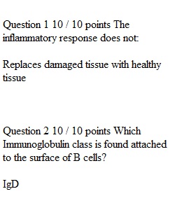 Week 5 Quiz 4